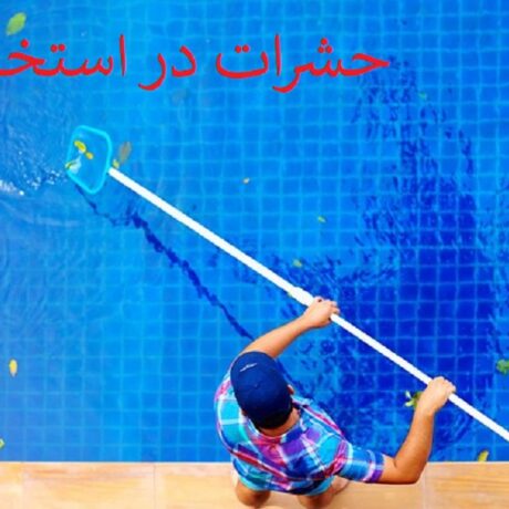 حشرات در استخر