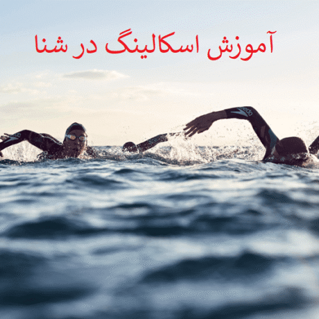 تکنیک اسکالینگ