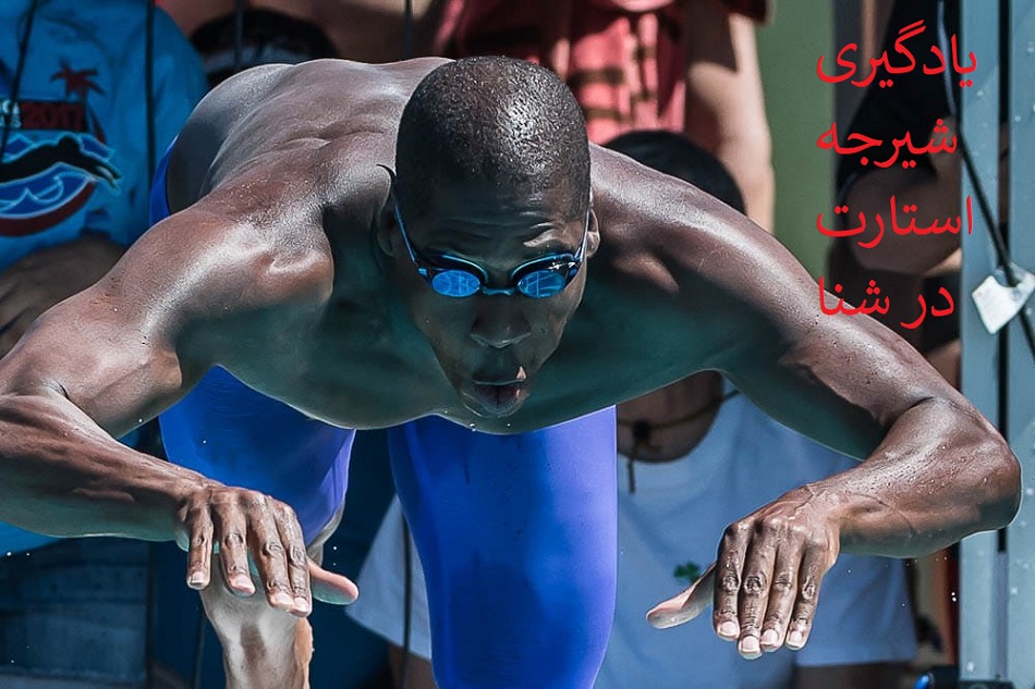 یادگیری شیرجه استارت در شنا | از صفر تا حرفه‌ای شدن